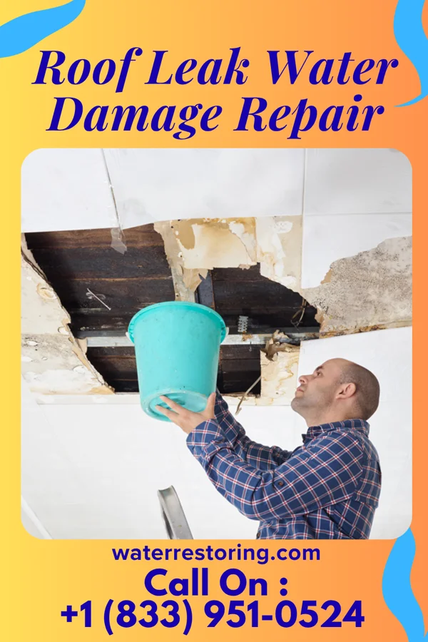 Roof Leak Water Damage Repair in Concord, NE