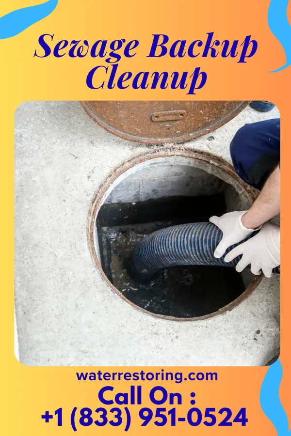 Sewage Backup Cleanup in Concord, NE